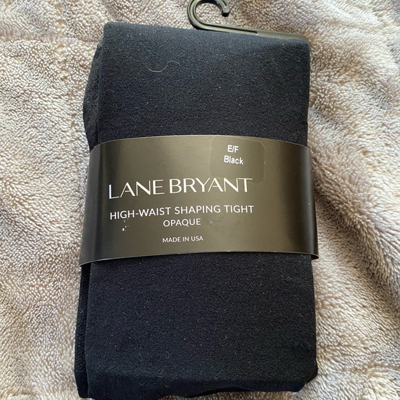 Lane Bryant Other - Lane Bryant Black Opaque High-Waist Tights (799)